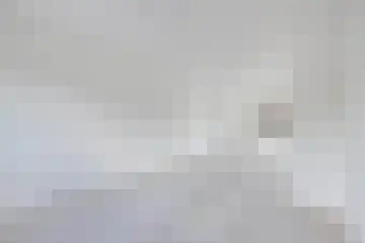 Sierdsmastee 10 Oudehaske thumbnail 18