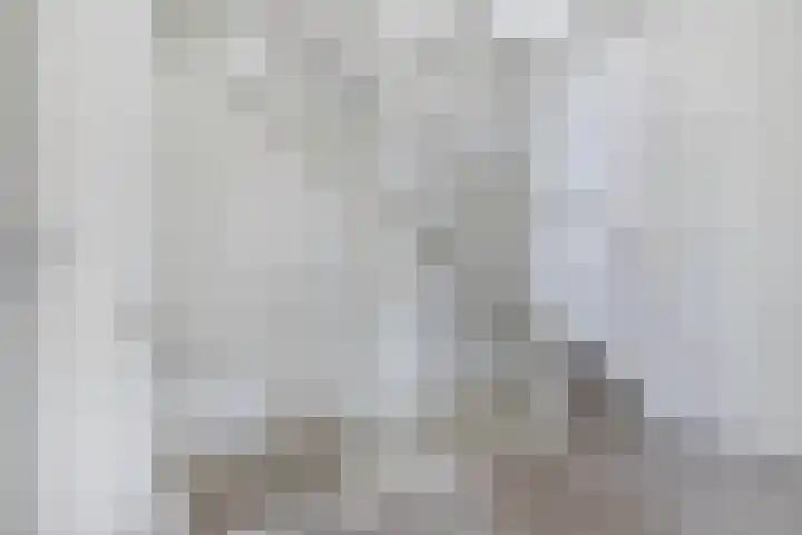 Sierdsmastee 10 Oudehaske thumbnail 21