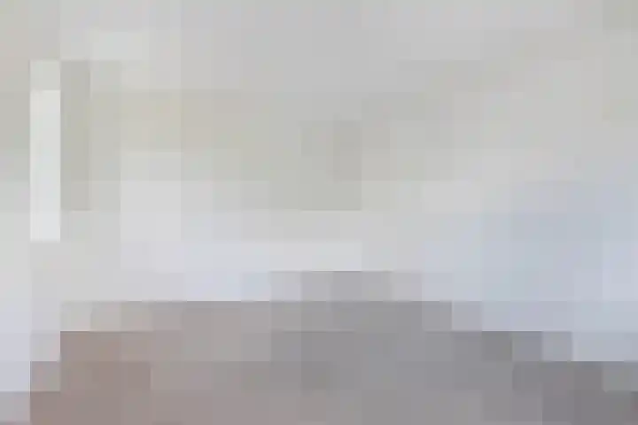 Sierdsmastee 10 Oudehaske thumbnail 26