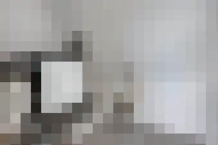 Sierdsmastee 10 Oudehaske thumbnail 34