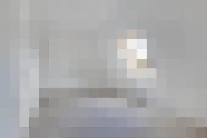 Sierdsmastee 10 Oudehaske thumbnail 35