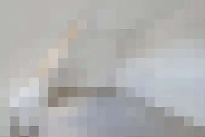 Sierdsmastee 10 Oudehaske thumbnail 36