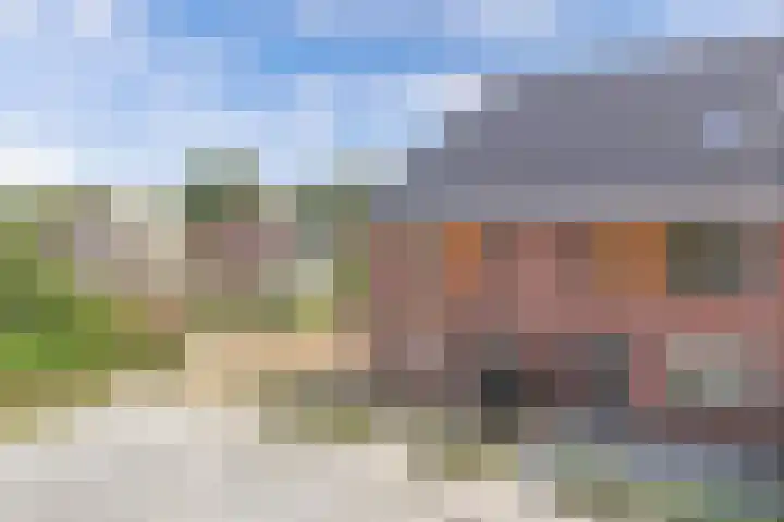 Sierdsmastee 10 Oudehaske thumbnail 48