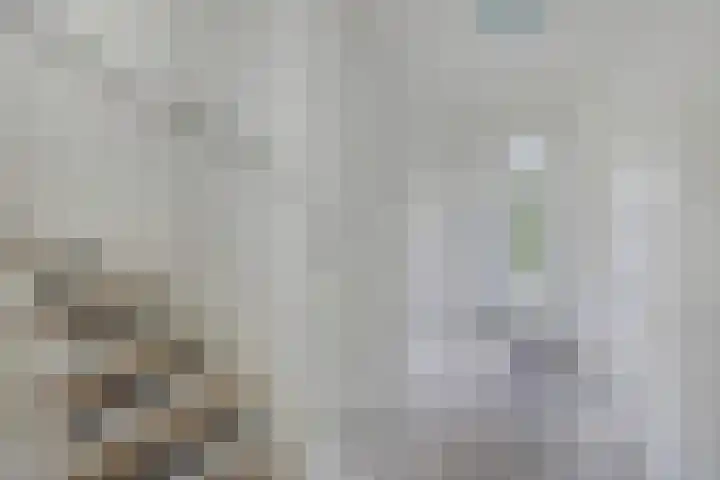 Sierdsmastee 10 Oudehaske thumbnail 7