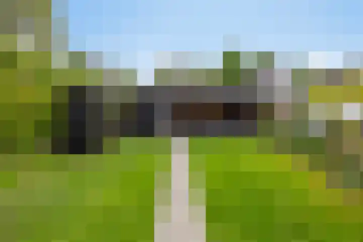 Sierduif 36 Emmen thumbnail 14