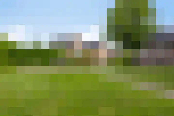 Sierduif 36 Emmen thumbnail 17