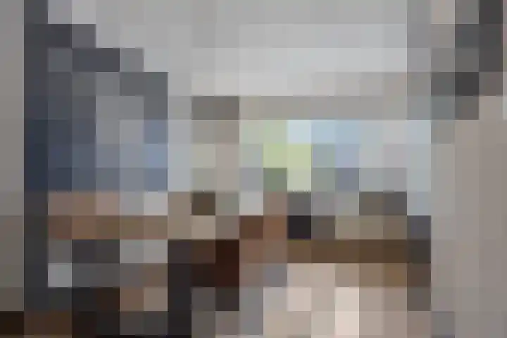 Sierduif 36 Emmen thumbnail 4