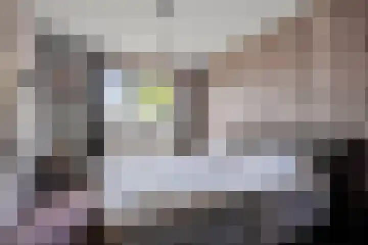 Sierduif 36 Emmen thumbnail 7