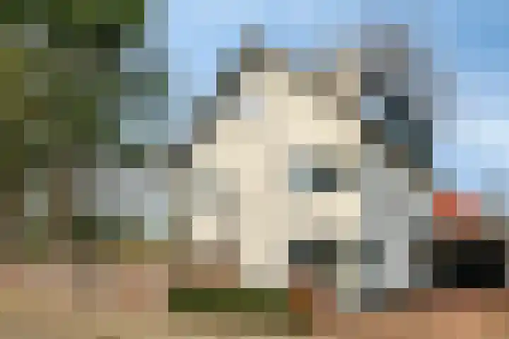 Siereveld 30 dans Breda