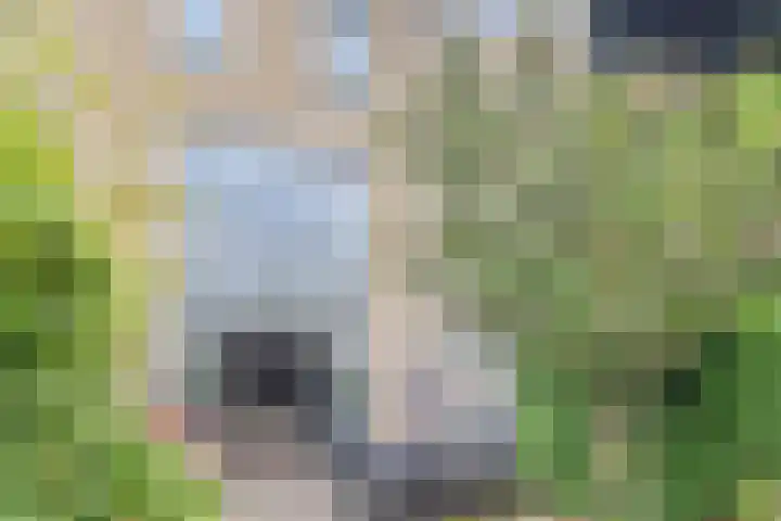 Siergaarde 109 Rijswijk thumbnail 19