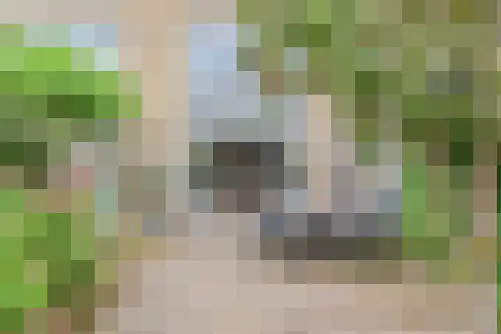 Siergaarde 109 Rijswijk thumbnail 20