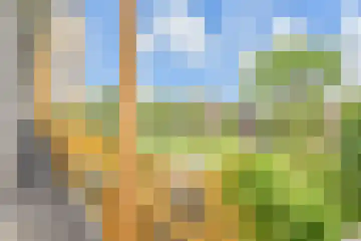 Siergaarde 109 Rijswijk thumbnail 25