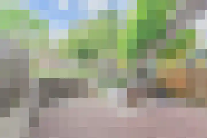 Siergaarde 109 Rijswijk thumbnail 53