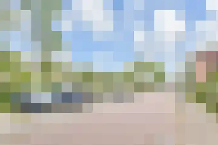 Siergaarde 109 Rijswijk thumbnail 57