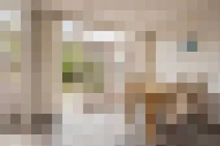 Sierkersstraat 24 Woerden thumbnail 11