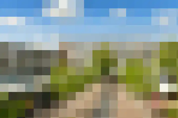 Sierplein 64 Amsterdam thumbnail 22