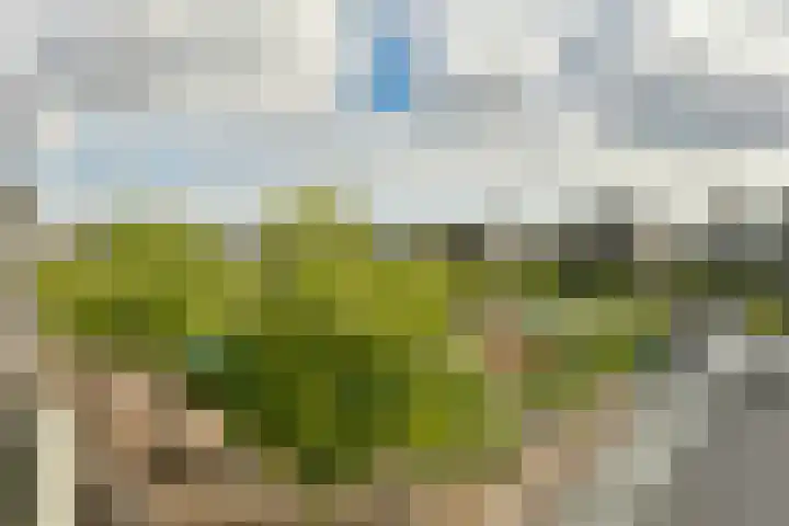 Sierplein 64 Amsterdam thumbnail 5