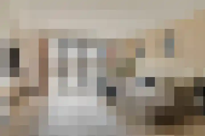 Sierra Nevada 38 Assendelft thumbnail 5
