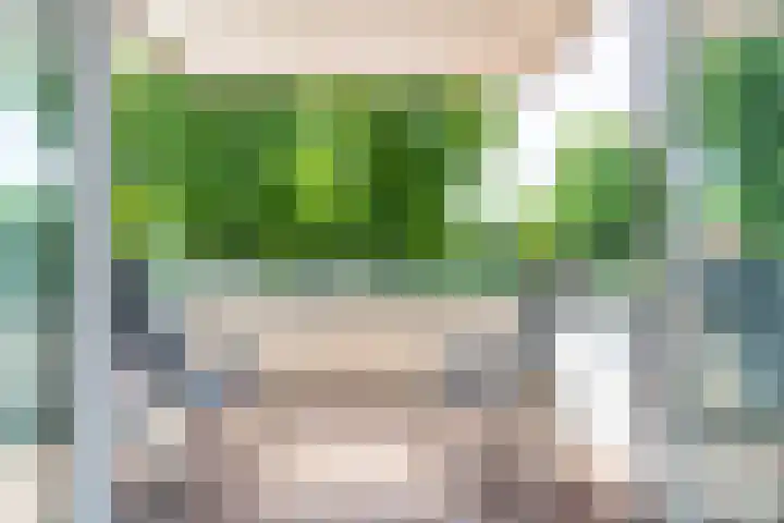 Sigmaplantsoen 36 Leiden thumbnail 11