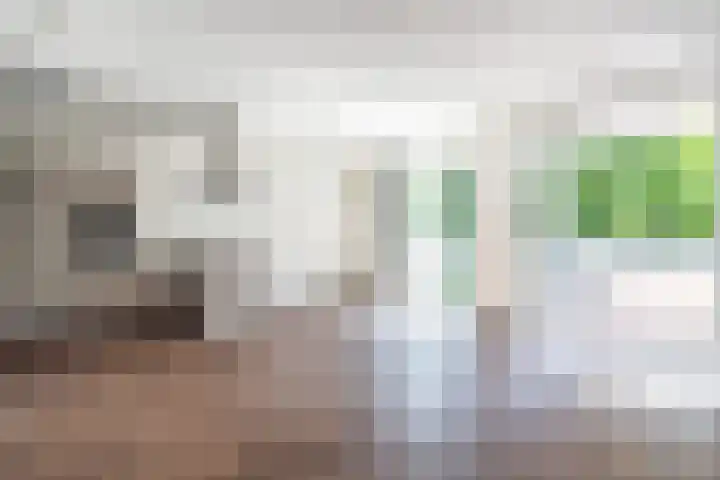 Sigmaplantsoen 36 Leiden thumbnail 16