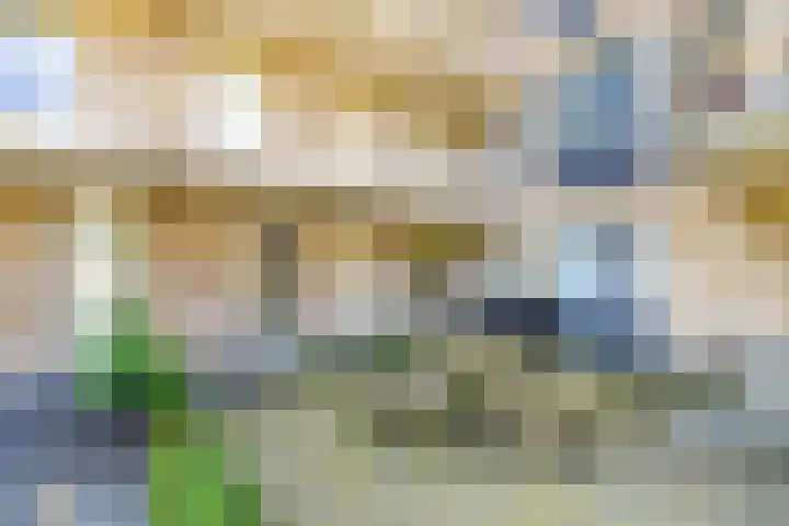 Sigmaplantsoen 36 Leiden thumbnail 31