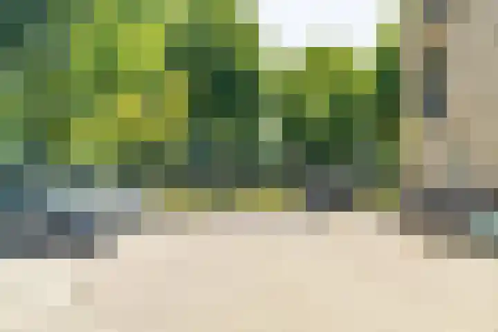 Sigmaplantsoen 36 Leiden thumbnail 39