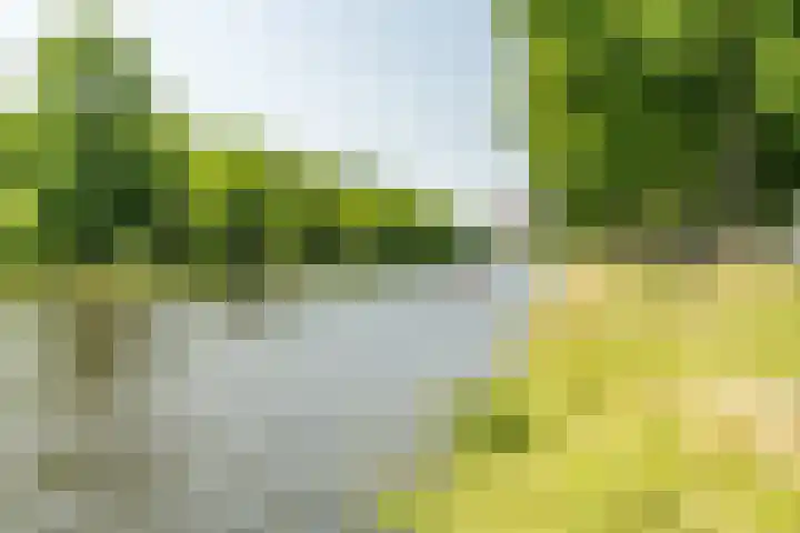 Sigmaplantsoen 36 Leiden thumbnail 42