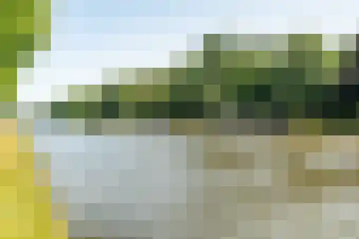 Sigmaplantsoen 36 Leiden thumbnail 43