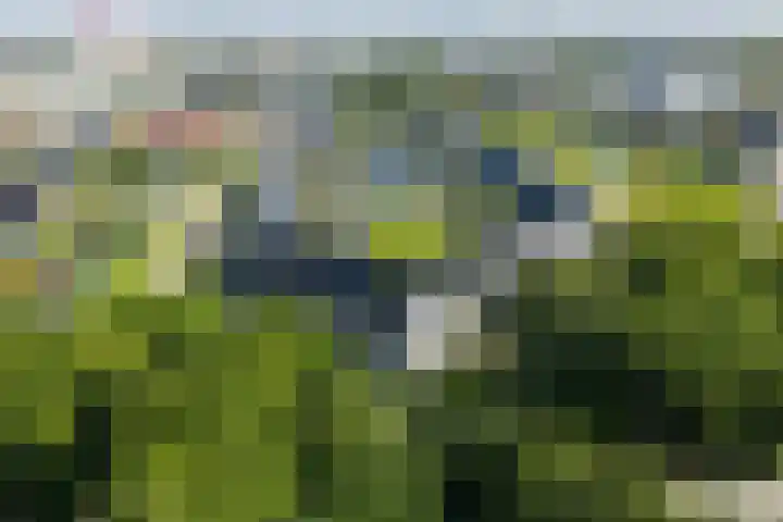 Sigmaplantsoen 36 Leiden thumbnail 47