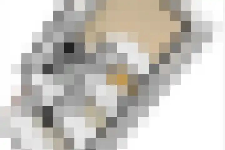 Sigmaplantsoen 36 Leiden thumbnail 5