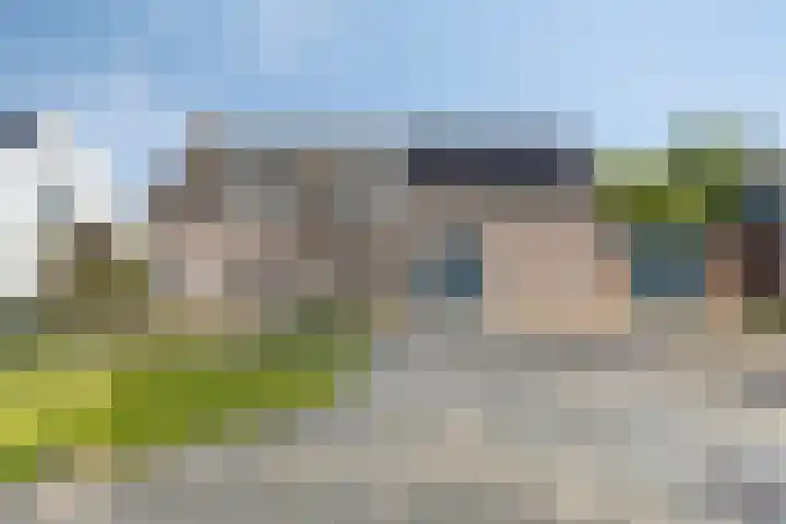 Siguitsedijk 6 Kwadendamme