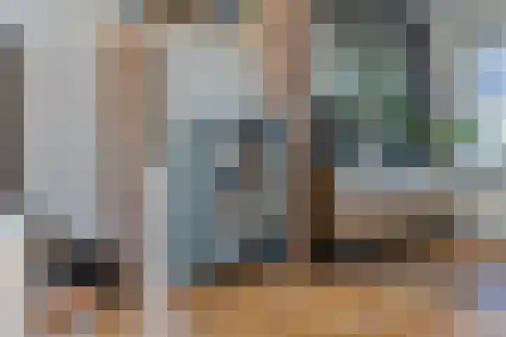 Siguitsedijk 6 Kwadendamme thumbnail 10