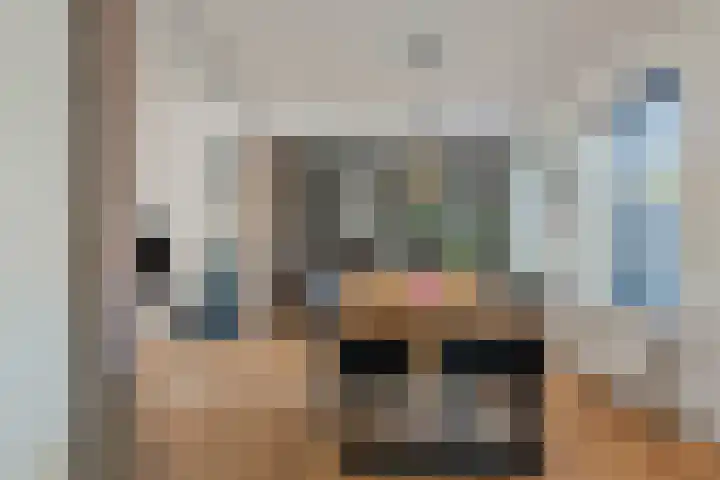 Siguitsedijk 6 Kwadendamme thumbnail 12