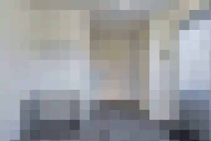Siguitsedijk 6 Kwadendamme thumbnail 17