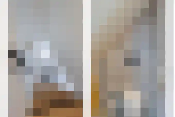 Siguitsedijk 6 Kwadendamme thumbnail 19