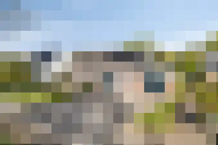 Siguitsedijk 6 Kwadendamme thumbnail 24