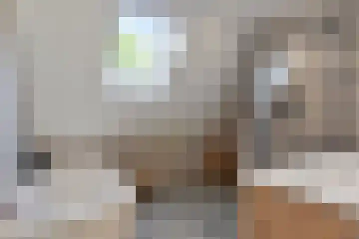 Siguitsedijk 6 Kwadendamme thumbnail 32