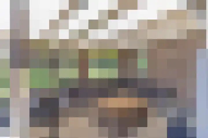 Siguitsedijk 6 Kwadendamme thumbnail 35