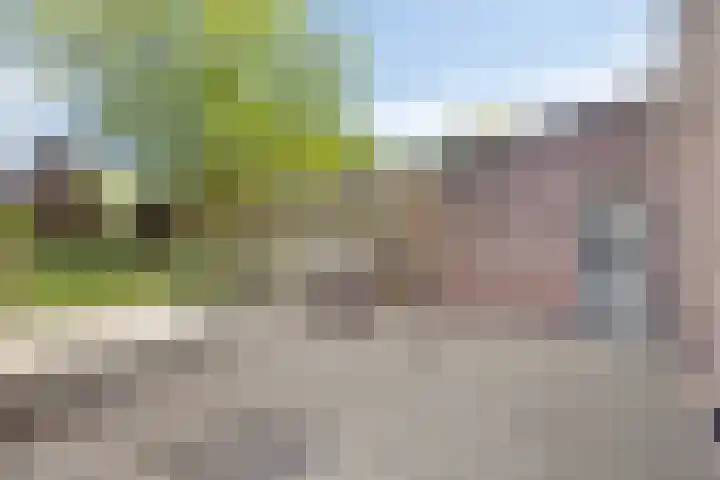 Siguitsedijk 6 Kwadendamme thumbnail 36