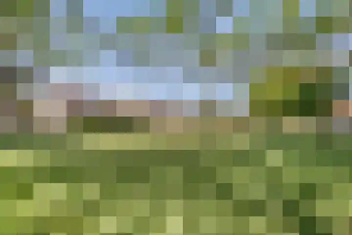 Siguitsedijk 6 Kwadendamme thumbnail 39