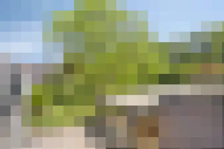 Siguitsedijk 6 Kwadendamme thumbnail 42