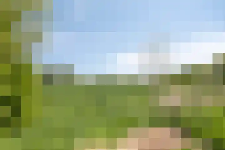 Siguitsedijk 6 Kwadendamme thumbnail 43