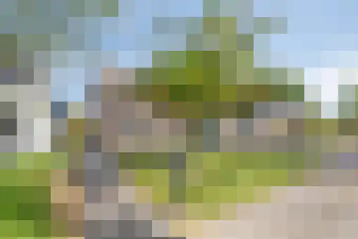Siguitsedijk 6 Kwadendamme thumbnail 5