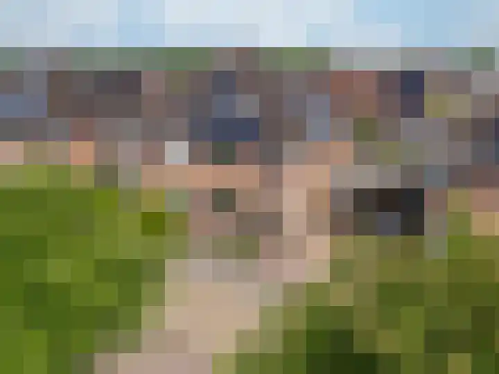 Sikkel 11 en Wieringerwerf