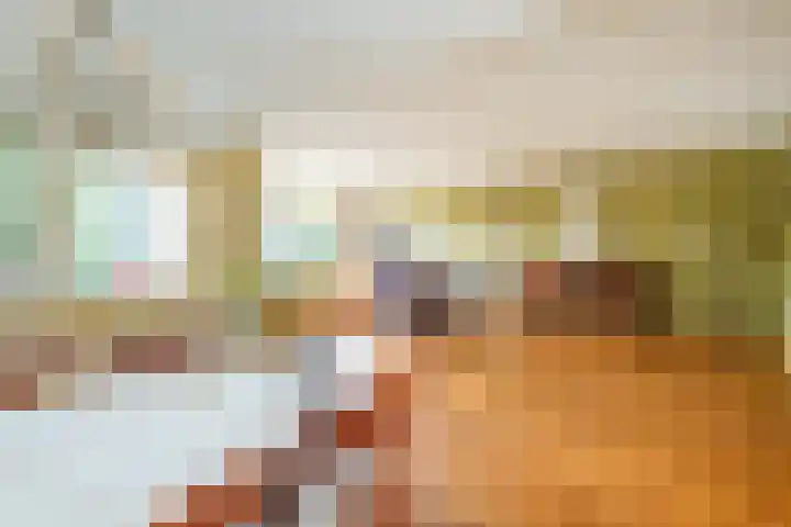 Sikkel 16 Hasselt thumbnail 13