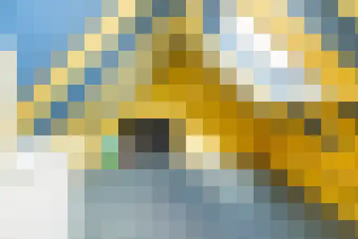 Sikkel 16 Hasselt thumbnail 30