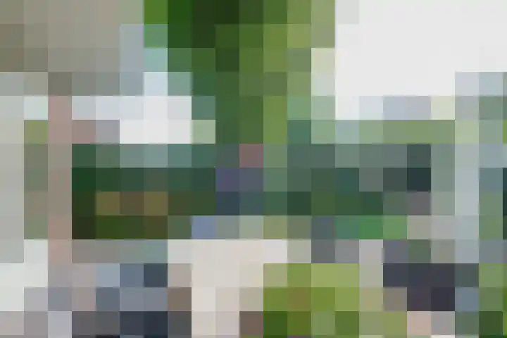 Sikkel 16 Hasselt thumbnail 33