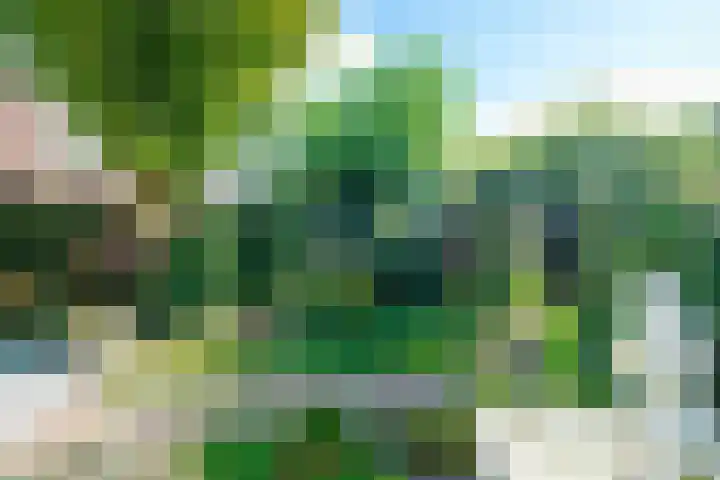 Sikkel 16 Hasselt thumbnail 34