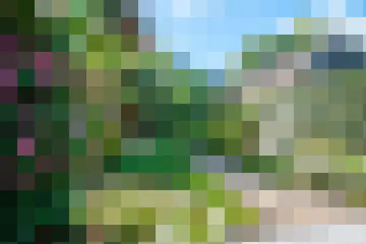 Sikkel 16 Hasselt thumbnail 35
