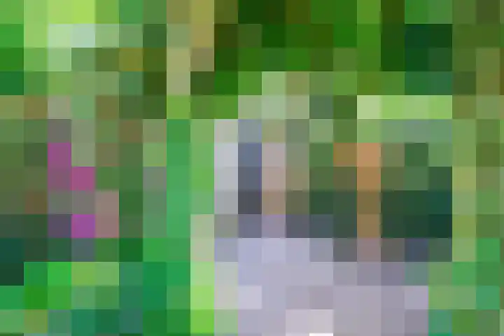 Sikkel 16 Hasselt thumbnail 39